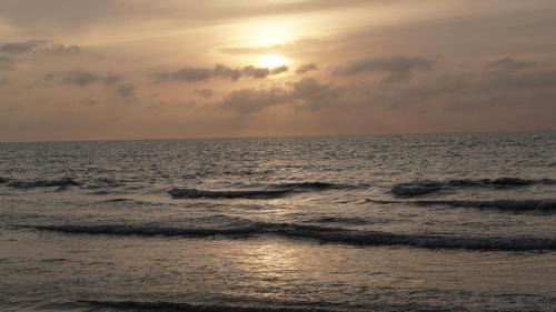 Zona Norte Hotel | Discover Casa Playa James: Pet-Friendly Oasis with Pool