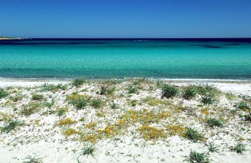 Porto Ottiolu House | Pet-Friendly Casa Podda with Ocean View and Breakfast