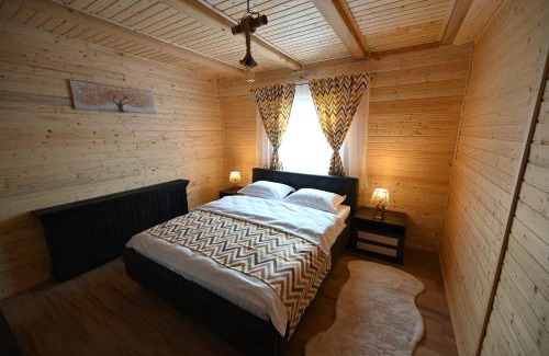 Rasnov House | Casa Pop