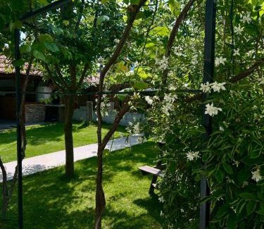 Vama Veche House | Casa Porumbelul Vama Veche