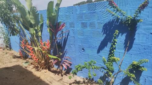 Saubara House | Inviting Casa Praia Cabuçu: Family-Friendly with Pool