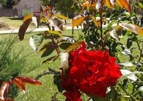 Libertador San Martin House | Cozy Casa Puiggari: Pet-Friendly Stay with Hot Tub Access