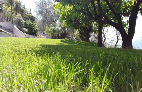 Castelletto Apartment | Pet & Child Friendly Stay at Casa Punta Veleno - Rated 9.6