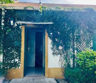 San Pedro House | Casa Quinta Villa Anita
