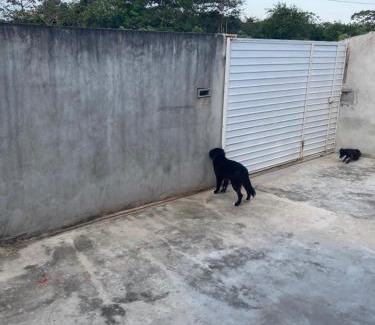 Jose Americo Apartment | Pet-Friendly Casa Quintal: A Family Retreat Awaits You