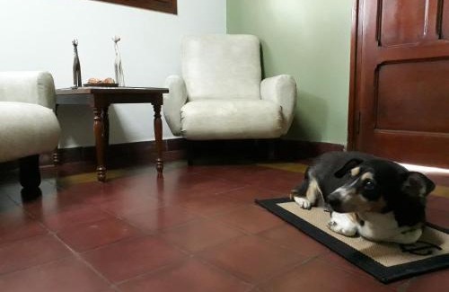 Salta Apartment | Discover Casa Rústica Norteña Candy with Free Parking