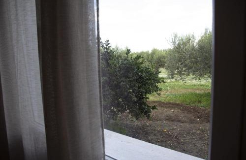 Paceco House | Casa Raineri: Pet-Friendly Haven with 9.8 Guest Rating