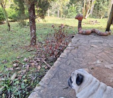 Palmital House | Discover Casa Refúgio da Floresta: Family & Pet Friendly Getaway