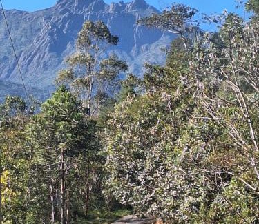 Palmital House | Discover Casa Refúgio da Floresta: Family & Pet Friendly Getaway