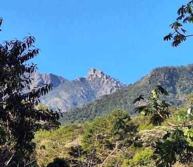 Palmital House | Discover Casa Refúgio da Floresta: Family & Pet Friendly Getaway