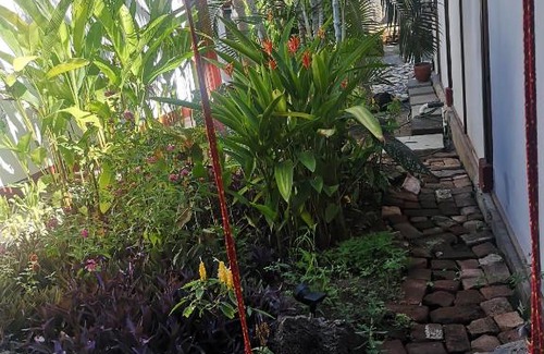 Granada House | Budget-Friendly Stay at Casa Rey Garrobo with Kitchen Access
