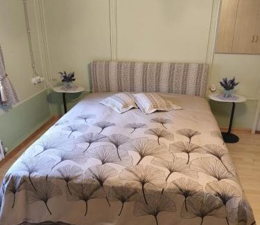 Pie Falcade Apartment | Casa Roberta