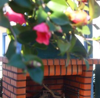 Salvaterra de Magos House | Pet-Friendly Haven: Casa Robusto with Kitchen Amenities