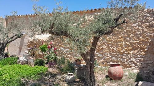 Pinoso Bed & Breakfast | Relax at Casa Rodriguillo with Oceanfront Views & Pool