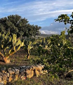 Misilmeri Villa | Discover Casa Rosalia: A Pet-Friendly Retreat