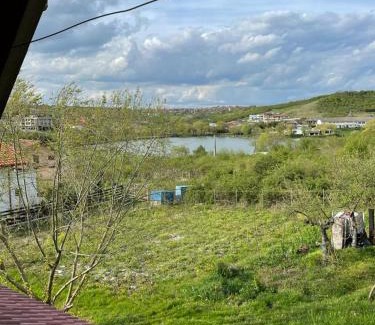 Cetariu House | Discover Casa Rosi - Oradea: Top-Rated Family Getaway
