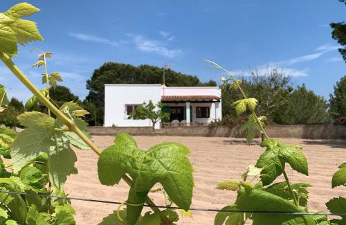 Sant Francesc Xavier House | Discover Casa rural Can Pep de Sa Barda: Oceanfront Oasis