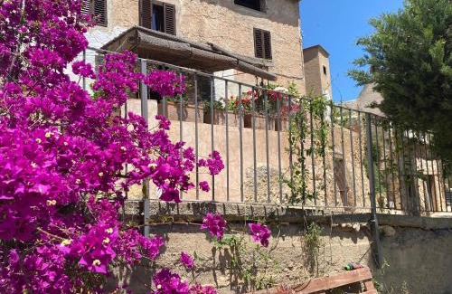 Ardenya House | Tranquil Casa Taronja & Canyella: Nature Retreat Near Beach