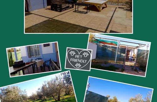Cuevas del Campo House | Casa Rural El Olivar Victoria