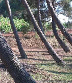 Caudete de las Fuentes House | Enjoy a Pet-Friendly Stay at CASA RURAL ALEGRÍA
