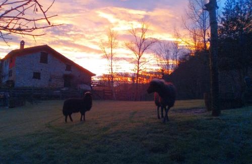 Onis House | Discover Casa Rural La Torraya: Family-Friendly Retreat