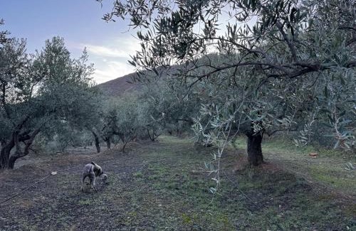 Fondon Ski Chalet | Pet-Friendly Escape at Casa Rural Los Caleros - Rated 9.2/10