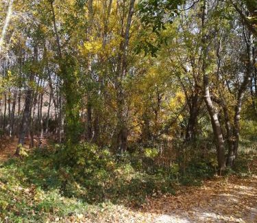 Gotor House | Pet-Friendly Retreat at Casa Rural Los Lilos - Rated 9/10