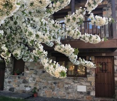 Fontoria House | Discover Casa Rural Magdalena - Family-Friendly Retreat