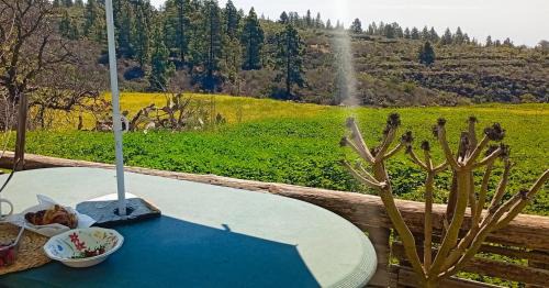 Vilaflor House | Casa rural Ocean view