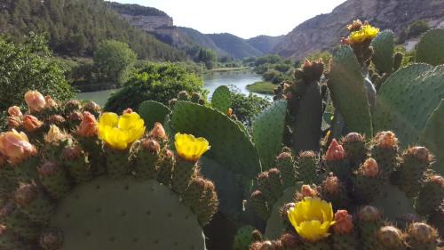 Tolosa House | Pet-Friendly Casa Rural Rio Jucar with Ocean Views