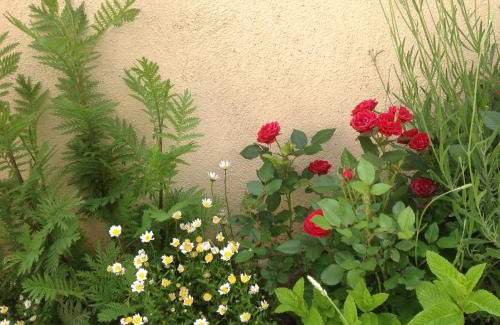 Miranda de Arga House | Charming Casa Rural Runa: Kid-Friendly Retreat with 9.3 Score