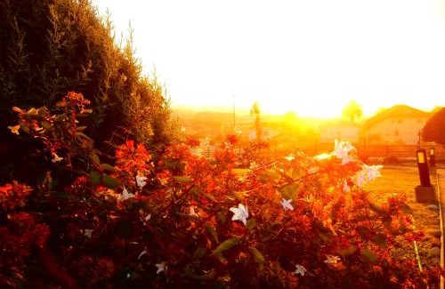 Sopelana House | Explore Family-Friendly Comfort at Casa Rural Telleri