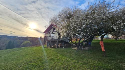 Moieciu Cabin | Casa Rustica: Guest Rated 9.9 with Breakfast Included