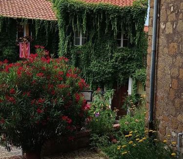 Palestrina Apartment | Discover Casa San Biagio: Pet-Friendly Retreat Awaits