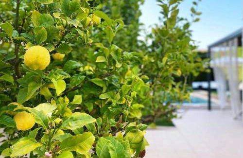 Puig de Ros House | Casa Schaefer - Beautiful Home with Pool Near Palma