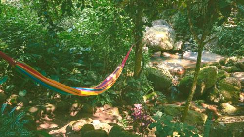 Ilha Grande House | Unforgettable Stays at Casa Selva - Ilha Grande Retreat