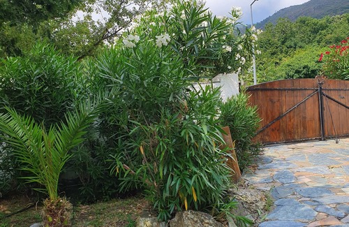 Scolca House | Relax at Casa Serena: Poolside Retreat for Families & Pets