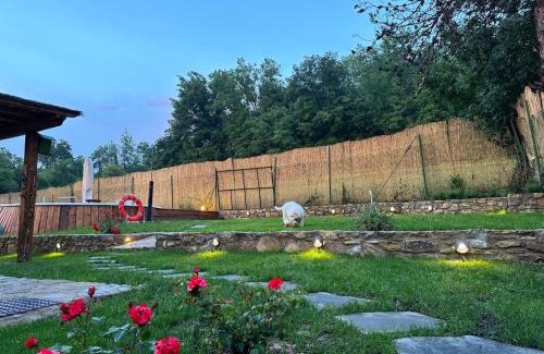 Lucarelli House | Experience Casa Serena in Radda: Pet-Friendly Retreat