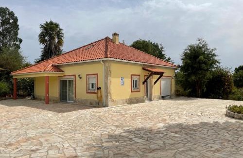 Obidos Villa | Relax at Casa Shally: Oceanfront, Pet-Friendly Retreat
