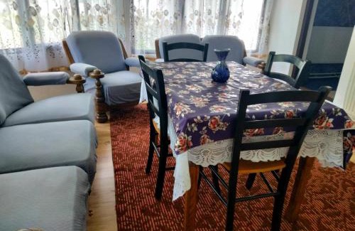 Viseu de Sus House | Family-Friendly Stay at Casa Simona - Guest Rated 9.8