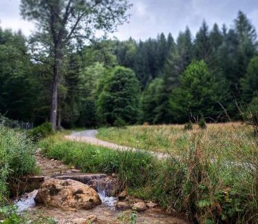 Brasov House | Casa Sinca: Family-Friendly Retreat with Hot Tub & Dining