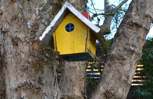 Jardim Andira House | Casa Sirin: Pet-Friendly Haven with 9/10 Guest Rating
