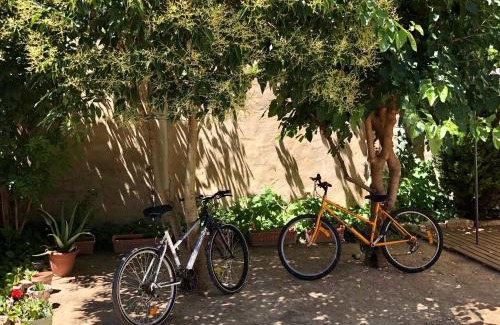 Lupinen-Ortilla House | Incredible Casa Solariega: Pet-Friendly & Child-Centric Stay