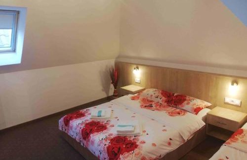 Sighisoara Apartment | Casa Steluta: Guest Rated 9.8 with Oceanfront Amenities