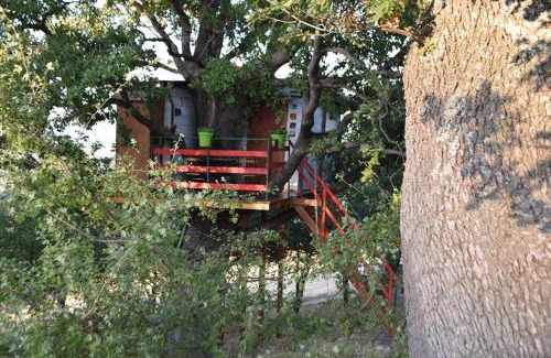 Lentella House | Experience Casa sull'Albero: A Guest-Rated 10/10 Retreat