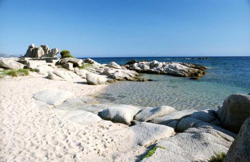 Pianotolli-Caldarello Apartment | Casa Susini: Pet-Friendly Retreat with Top-Rated Service