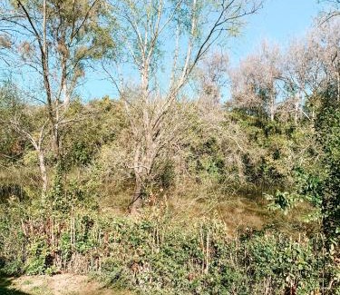 Partido de Tigre House | Pet-Friendly Comfort at Casa Tío Camilo - Rated 9.5/10