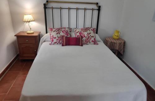Taberno House | Discover Casa Teatro RAÍCES: Oceanfront & Pet Friendly Escape