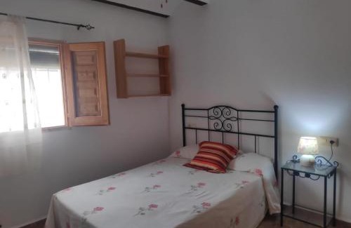 Taberno House | Discover Casa Teatro RAÍCES: Oceanfront & Pet Friendly Escape