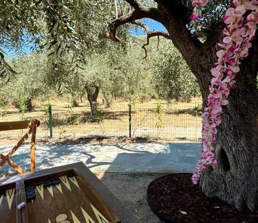 Prinos Cabin | Experience Comfort at Casa Teresi Thassos - Rated 9.7/10